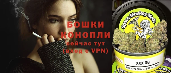 прущий лед Нея