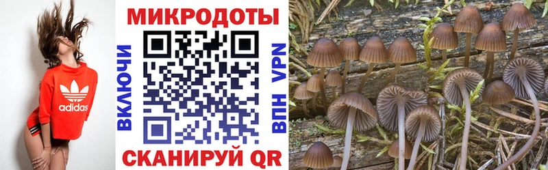 Галлюциногенные грибы MAGIC MUSHROOMS  Лиски 