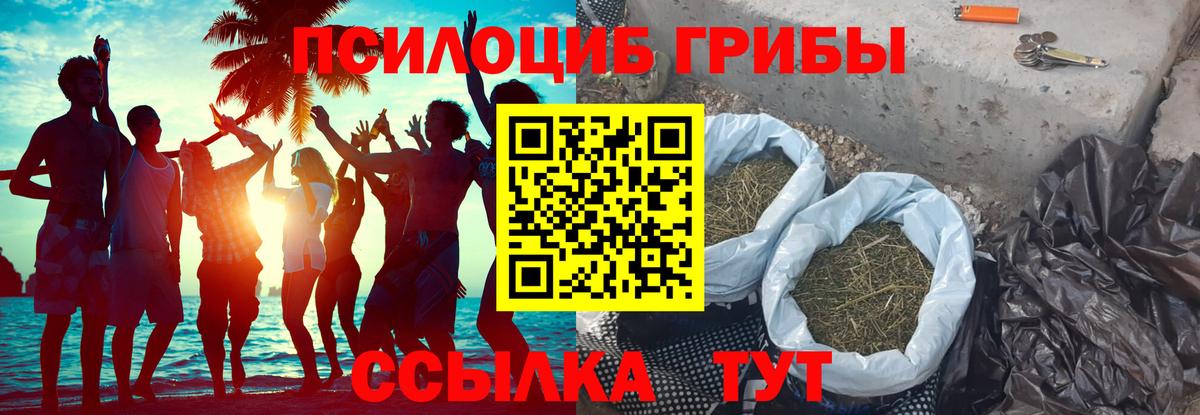 Галлюциногенные грибы мухоморы Лиски